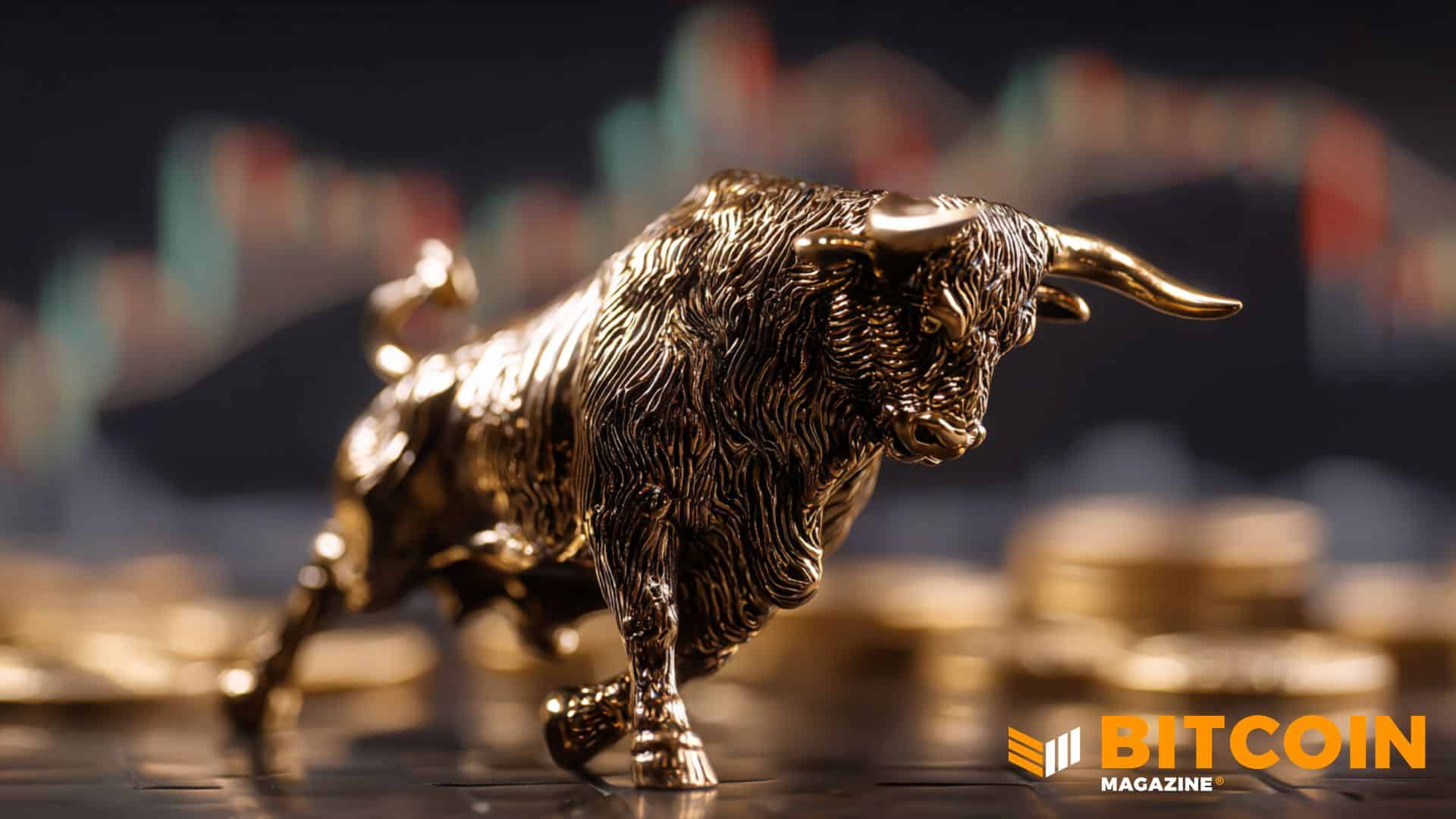 ビットコインの保有基盤が成熟 個人依存から脱却とアナリストが分析