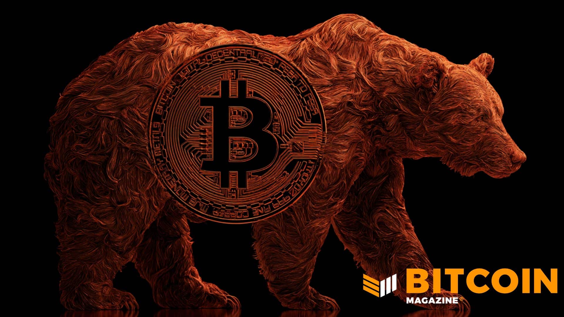 ビットコイン供給の79%を長期保有者が保持──アナリストは弱気相場の終息が近いとみる