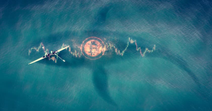 クジラがビットコインの主要な売り圧に、不安定な市場続くか=クリプトクアント